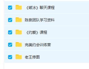 悦爱陈泉团队《2980全套课程》