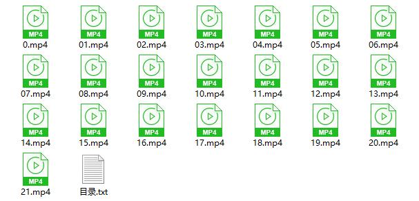 2017年《恋爱小贴士》线下视频课程