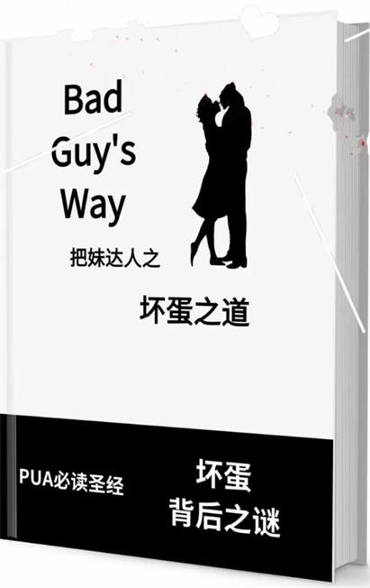 《坏蛋之道》pdf电子版/无水印