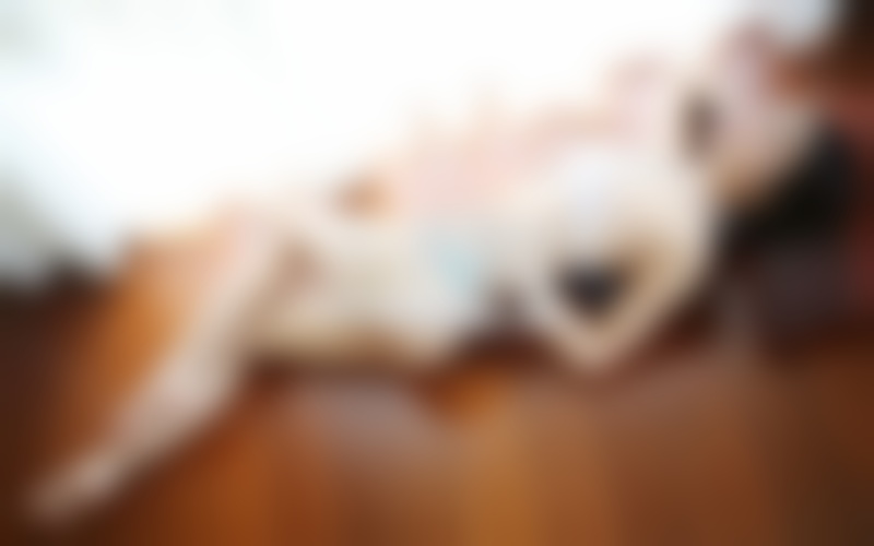 女学生裙子-恋爱秘籍分享 教你怎么谈恋爱