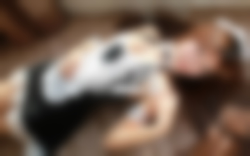 为什么他死活不肯复合