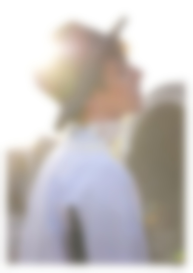 心理操纵术-可得性操作