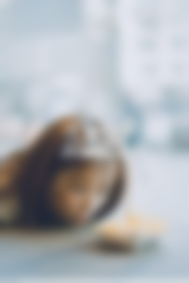 分手之后做朋友还有可能复合吗