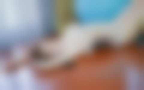 如何运用二次吸引技巧挽回老公的心?