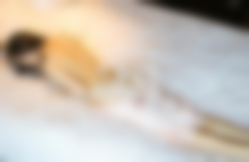 如何快速交到女朋友,追女生必掌握的方法