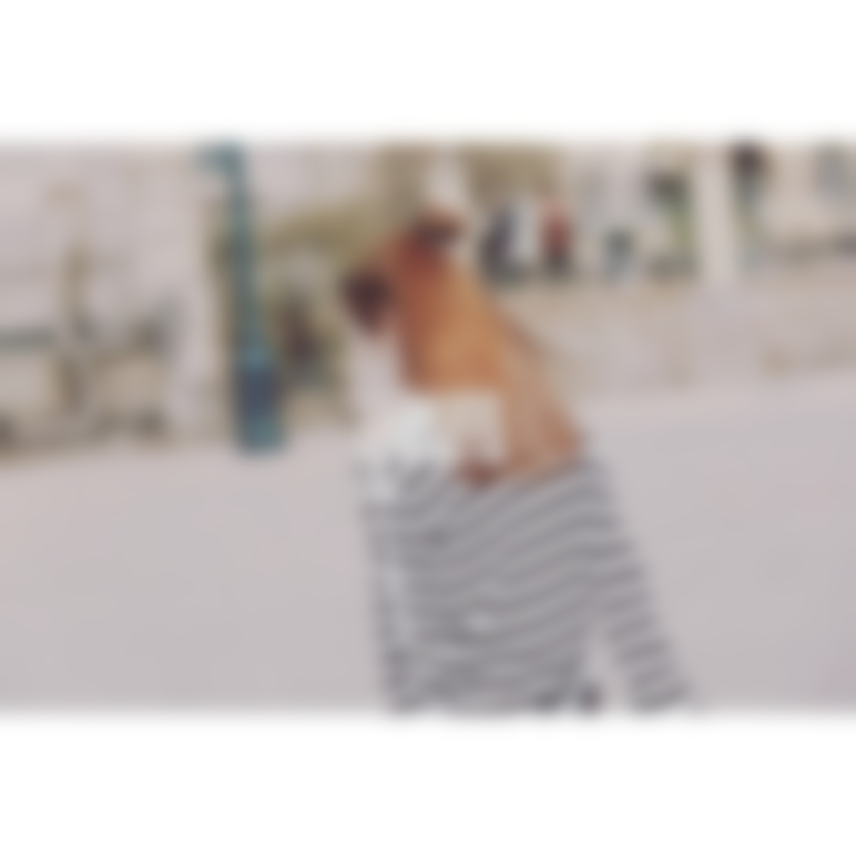 被已有女友的渣男骚扰 我该怎么办?