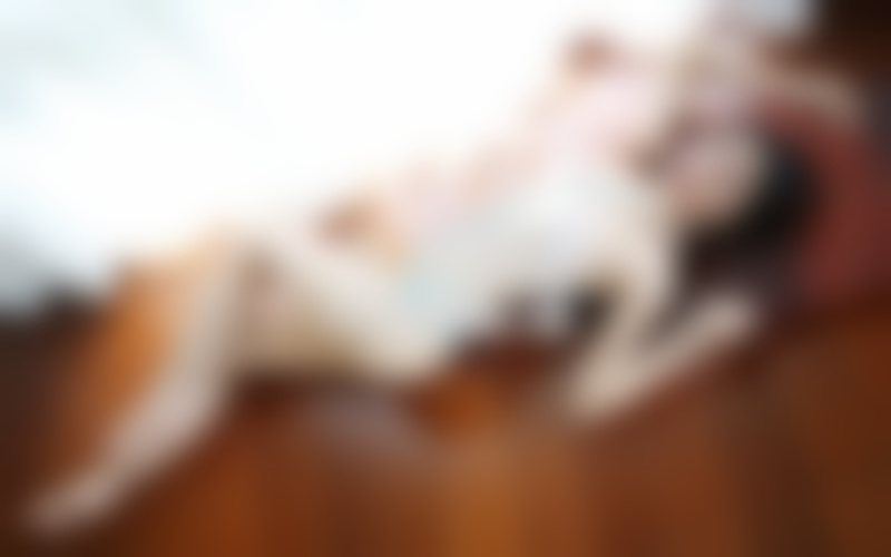 怎么追刚分手的女孩