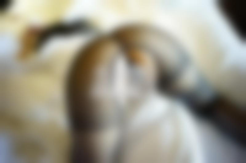 男友收入低还嫌弃我懒 分手后我该怎么办