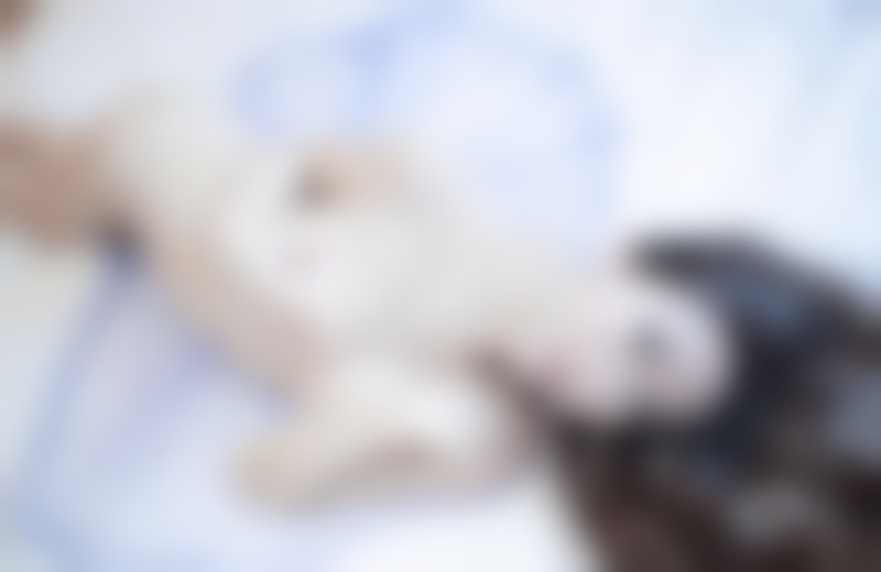 微信逗妹子开心的套路,逗妹子开心的聊天套路