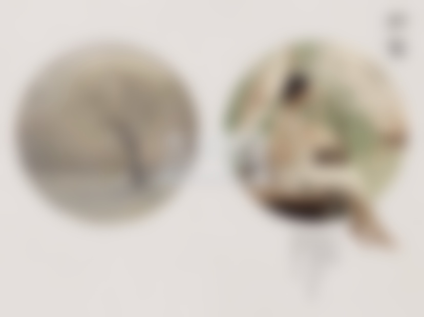 老公出轨成瘾，我该离婚还是挽回？