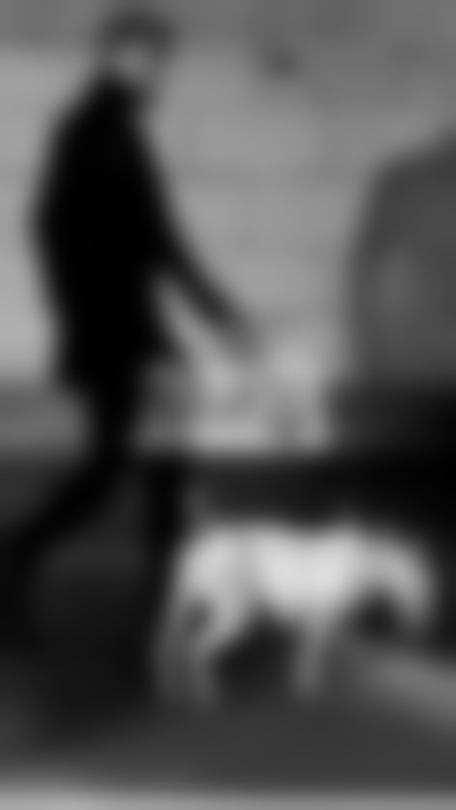 分手后为什么会拉黑对方?