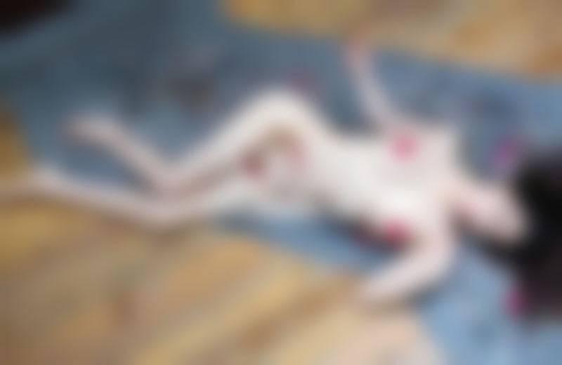 炫酷的中国boy会freestyle更让妹子钟意你