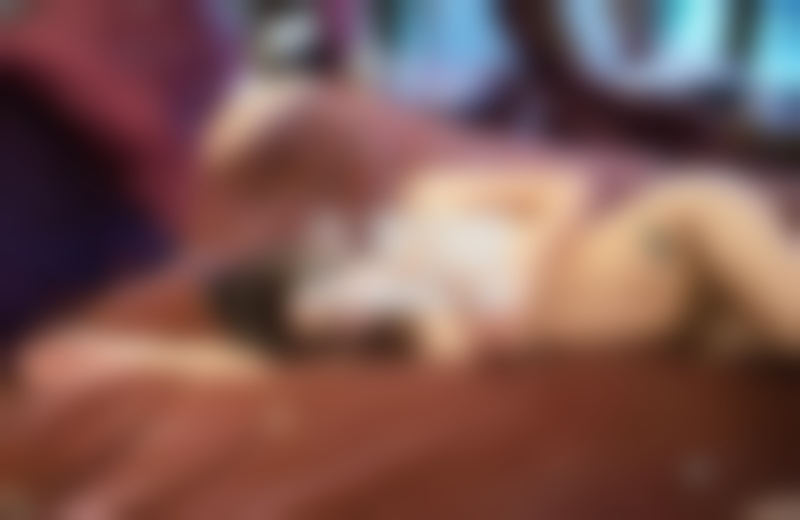 你湿了-情侣吵架后和好的短信 和好如初重温甜蜜爱情