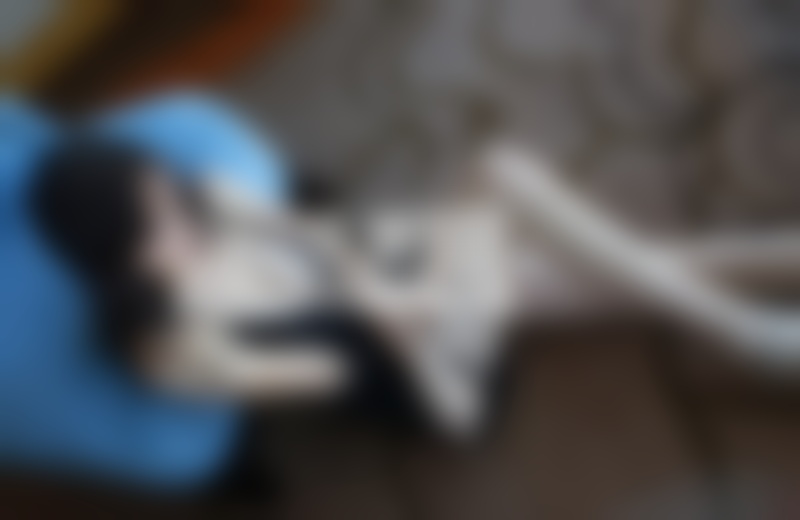 挽回前任的方法