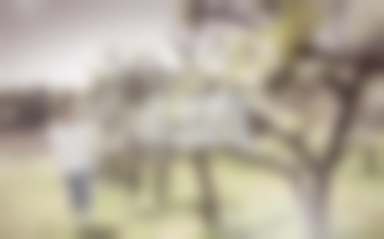 挽回婚姻冷处理方式多久比较好