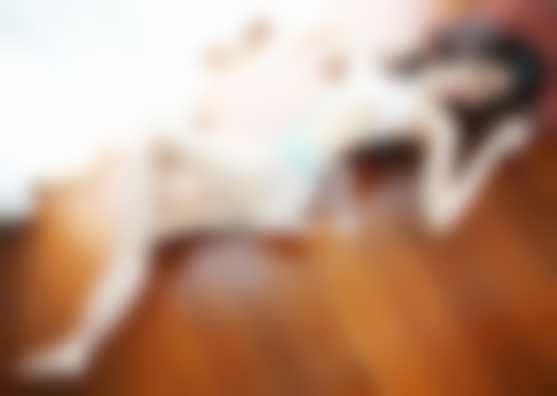 挽回老公你应该避免的4大错误方法