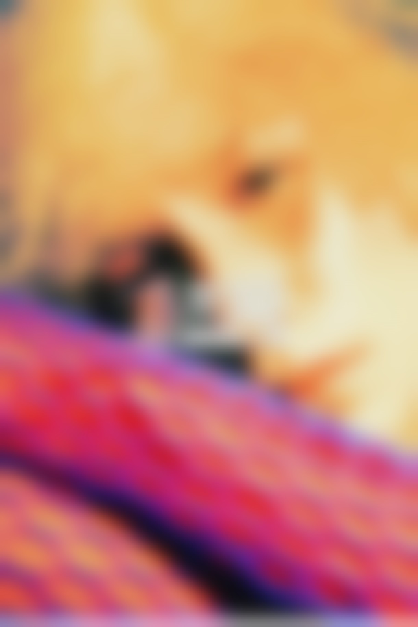 追女生必须掌握的那些技巧?