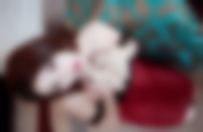 2016年情人节惊喜 特别的惊喜给最爱的你