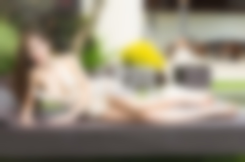 怎么约妹子出来玩?怎么把妹子约出来?