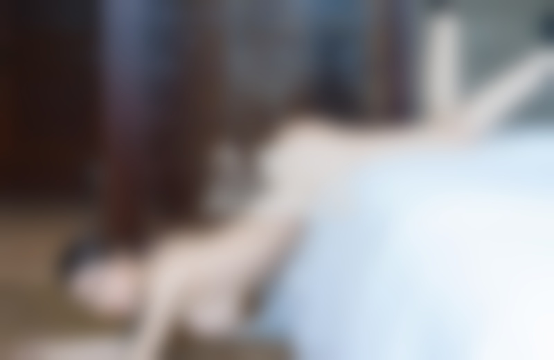 美女丝袜诱惑图片-搭讪原则:教你如何结识想要认识的她?